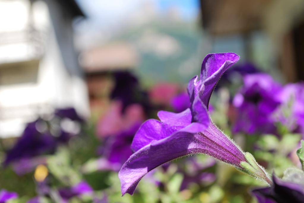 Villa L'Aida Canazei Luaran gambar